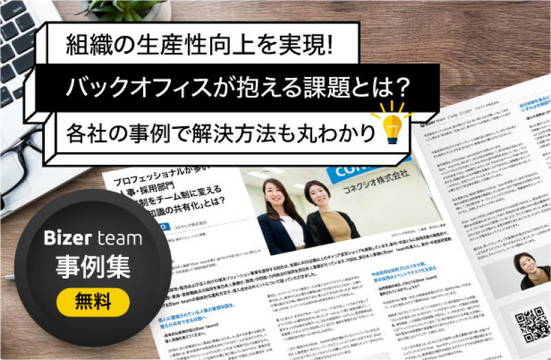 Bizer team事例集