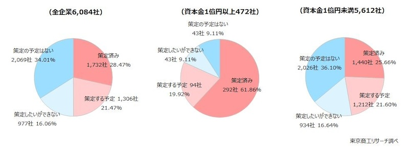 スキル・ノウハウ不足から未策定の企業が半数に